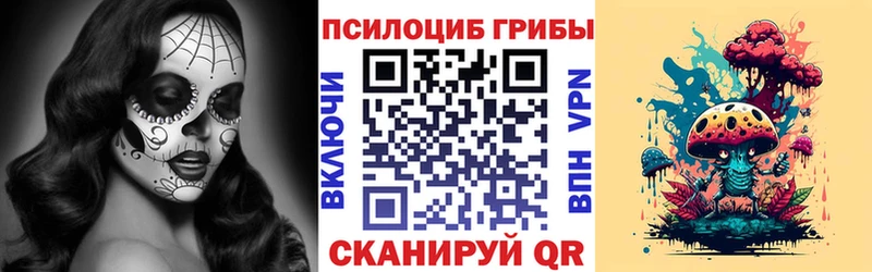 Псилоцибиновые грибы мицелий  мориарти официальный сайт  Цоци-Юрт 